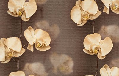 Брянские Обои Грация  гфр 8  С6БР-ГП